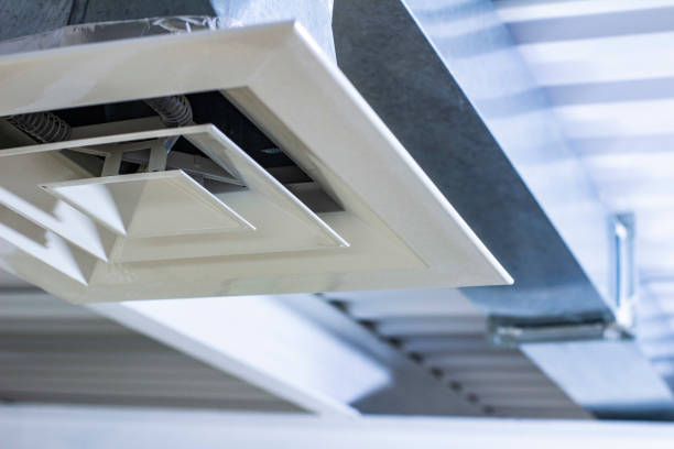 Best Dryer Vent Cleaning Services  in Wildwood, FL