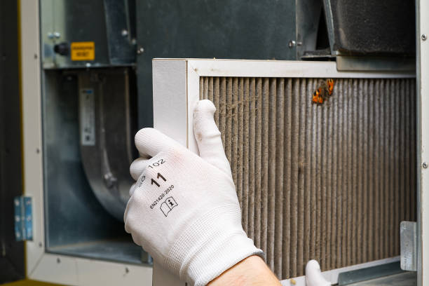 Best Air Duct Cleaning Near Me  in Wildwood, FL