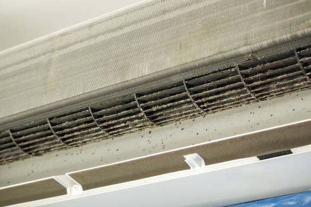 Best Air Vent Cleaning Services  in Wildwood, FL